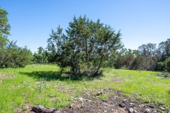 121-Calleja-Verde-07