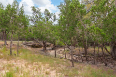 1251-Mystic-Breeze-22