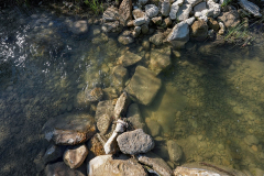 131-Campfire-Circle-34