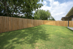141-LBJ-Ln-33