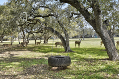 24-Stonehouse-Circle-26