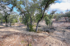 7655-Mount-Sharp-Road-33