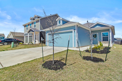 7711-Poppy-Petal-Loop-03