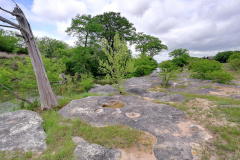 805-High-Mesa-Drive-32